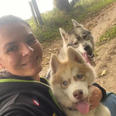 Huskys en balade